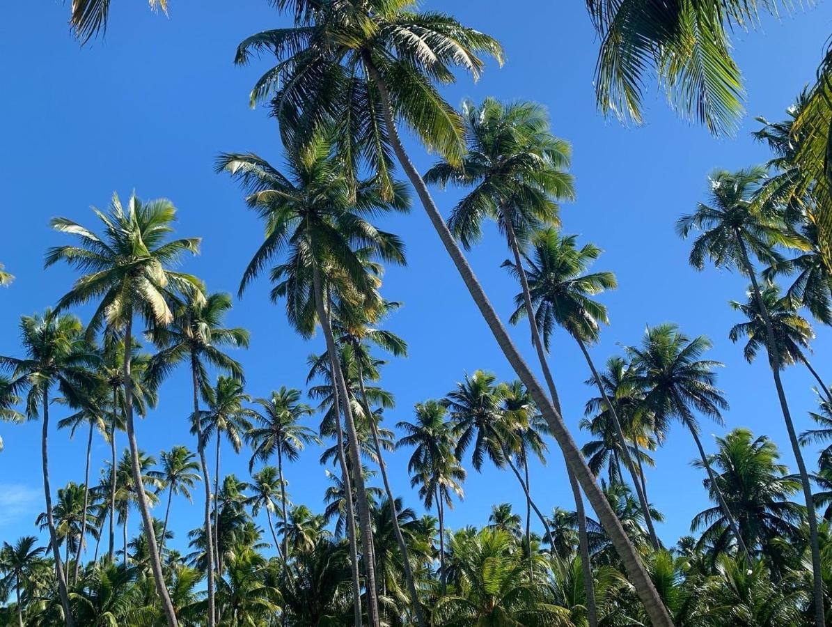 Flat 118 Eco Resort Praia Dos Carneiros Tamandaré エクステリア 写真